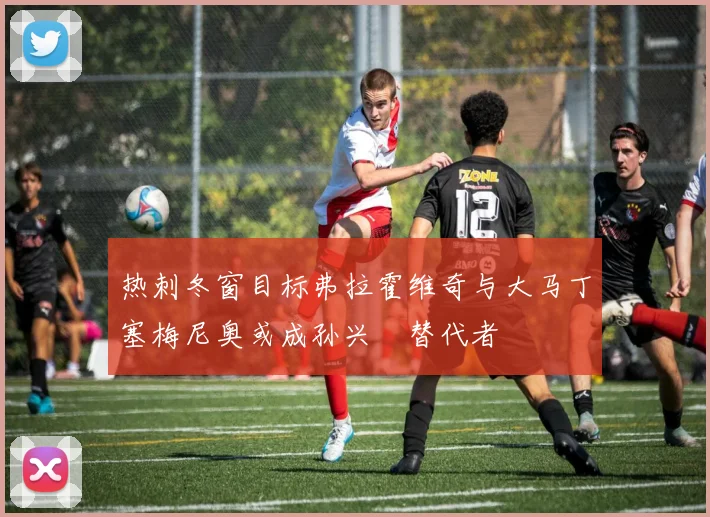 热刺冬窗目标弗拉霍维奇与大马丁塞梅尼奥或成孙兴慜替代者