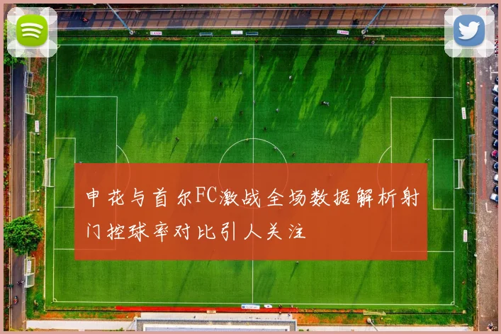 申花与首尔FC激战全场数据解析射门控球率对比引人关注