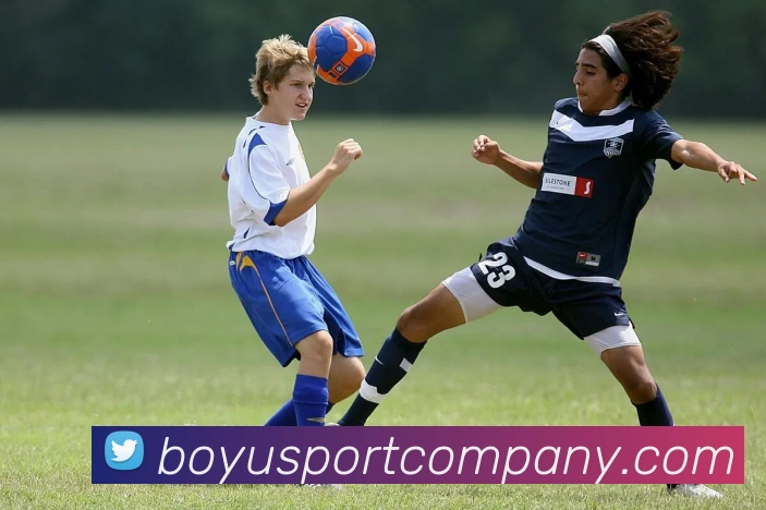 博鱼足球平台生态图