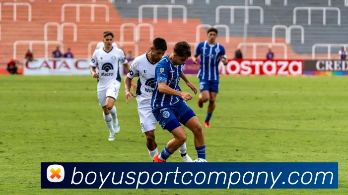 数据防护可视化